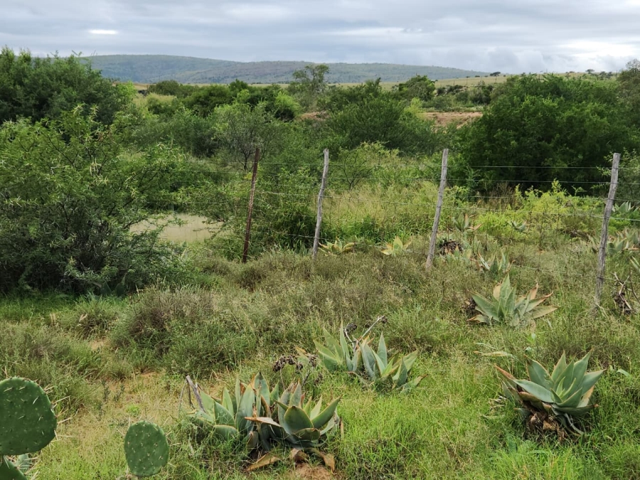 Commercial Property for Sale in Somerset East Rural Eastern Cape